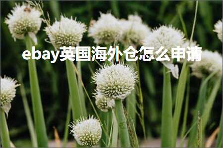 如何推广自己的网站 跨境电商知识:ebay英国海外仓怎么申请